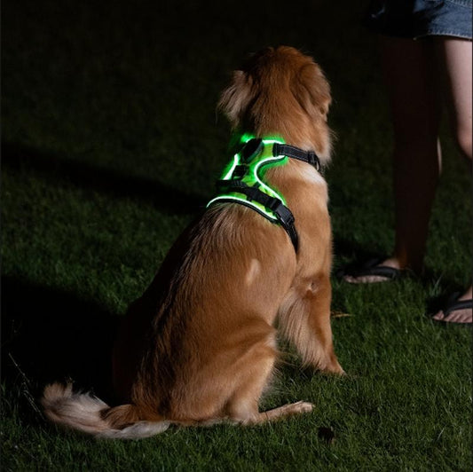 Luminous Reflective Dog Harness – Adjustable Pet Safety Vest for Walking, Running, and Night Visibility
